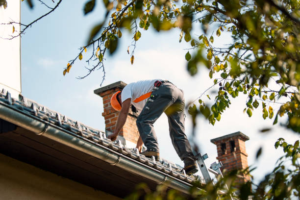Best Shingle Roofing Installation  in Laurens, IA