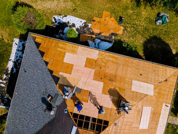 Best Flat Roof Repair Services  in Laurens, IA