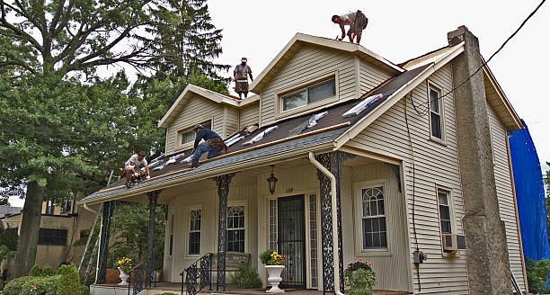 Best Roof Maintenance Services  in Laurens, IA