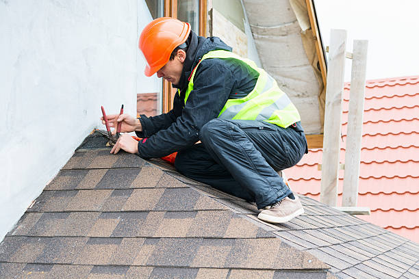Roof Gutter Cleaning in Laurens, IA